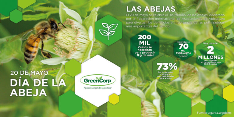 Mesa de trabajo 1dia de la abeja final